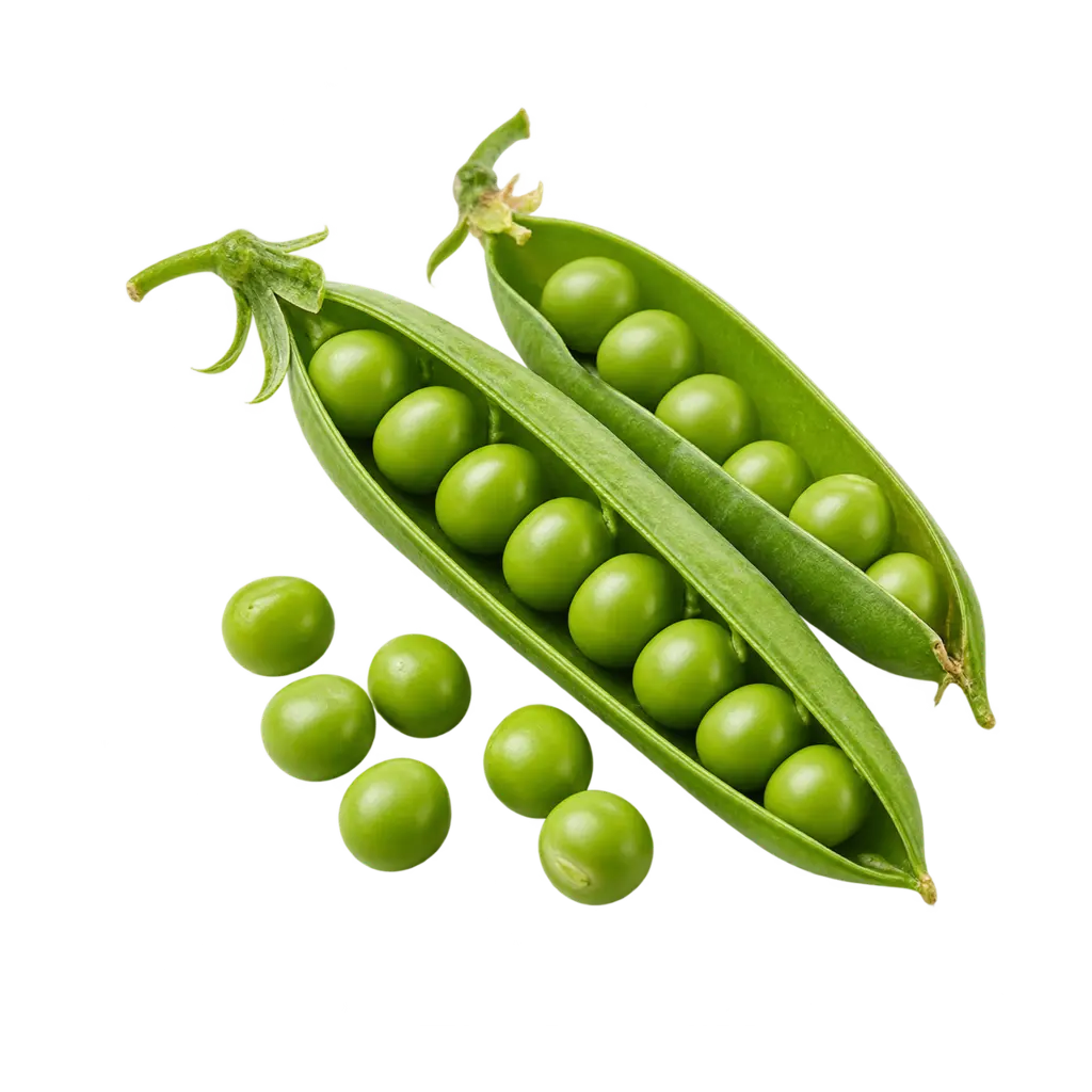 Arvejas