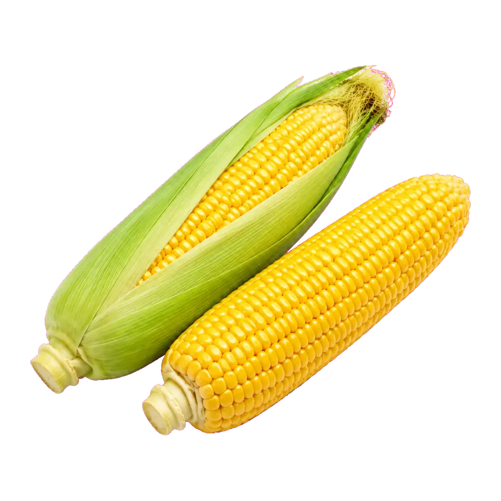 Maíz tierno