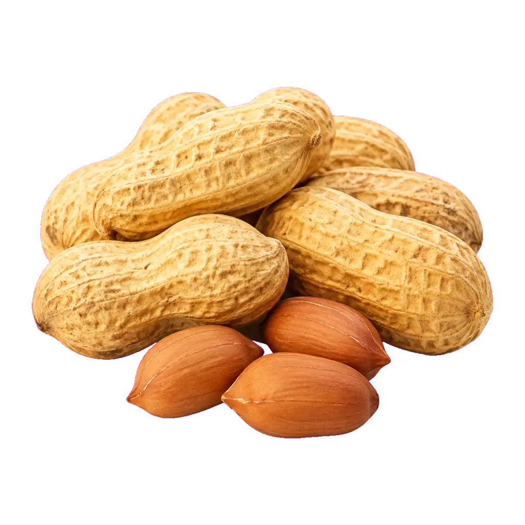 Maní