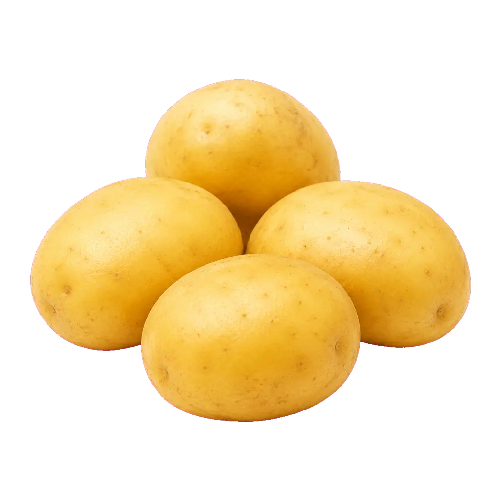 Papa o patata
